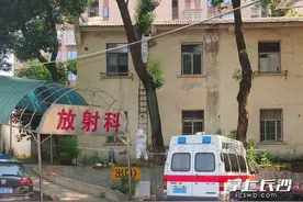 马蜂一周扰民10余起，芙蓉消防直捣蜂巢图片