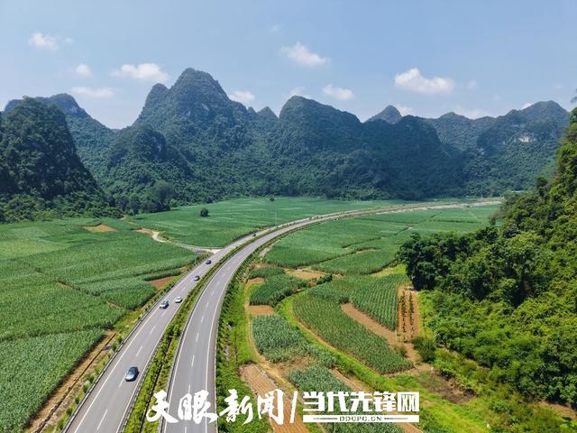 桂在交旅——山水之间有通途③丨惊喜美景➕独特文化！国道动脉激活“交旅融合”新图景