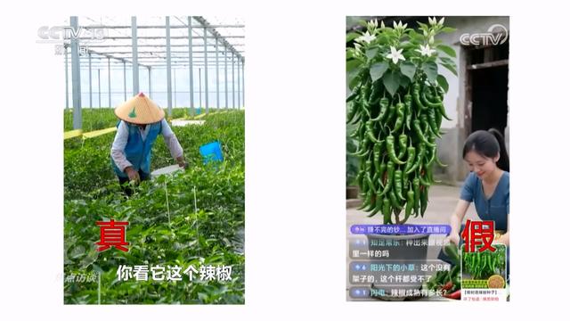 真假难辨 警惕AI带货“李鬼”！