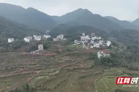 宜章：百亩桃花迎春绽放图片