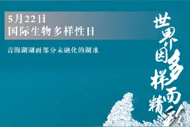 5月22日是国际生物多样性日图片