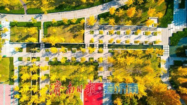 莱芜红石公园秋意浓 红石秋叶绘就多彩画卷