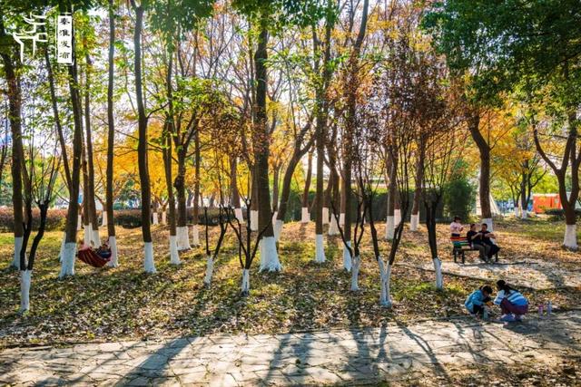 秦淮citywalk｜七桥瓮湿地公园