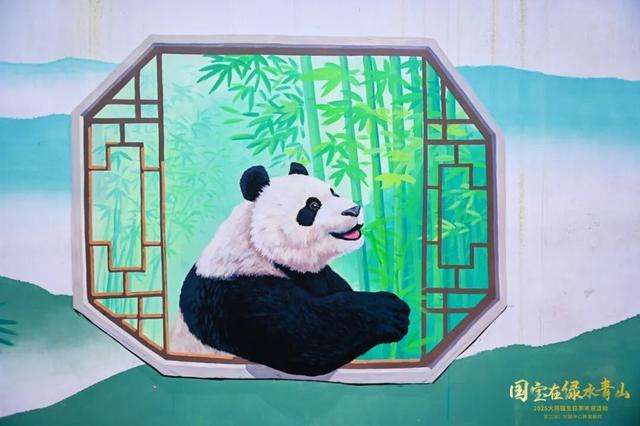 雅安又多了一处熊猫彩绘，你打卡了吗？