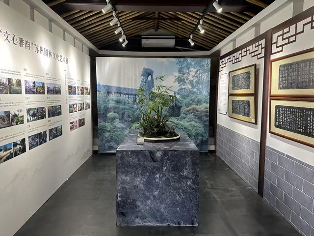 金桂飘香！“颐和秋韵”桂花展启幕，十大公园联动