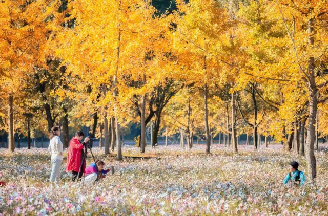 邂逅江南秋冬之美，浙江推出20条秋冬季乡村旅游精品线路