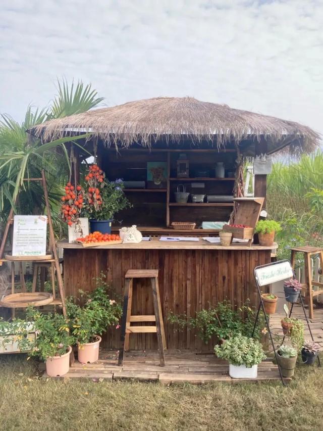 西安出发1h！这4个宝藏农场！