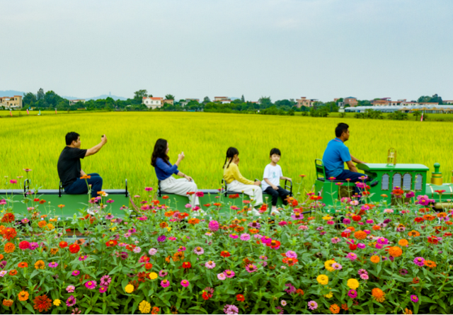 好吃好玩又好逛！本周末约定你庆丰收