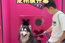 宠友狂欢派对！第10届深圳国际宠物展开幕图片