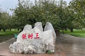 漂泊千里万里，走不出一口家乡味丨我为家乡代言图片