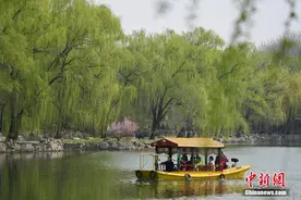 北京圆明园春色宜人图片