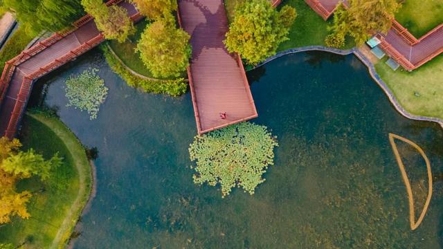 爱在圭塘河丨浅吟“长律”说圭河