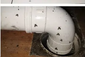 近期家中常见！千万别这样！一男子被迫摘除眼球图片