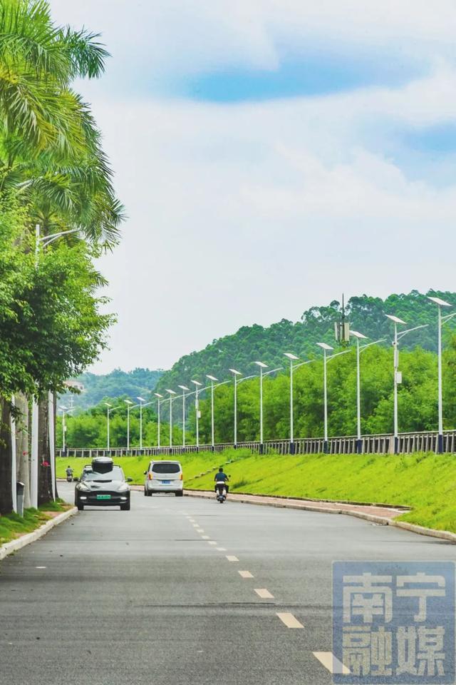 藏不住了！南宁这里居然有一条充满异域风情的“海滨公路”