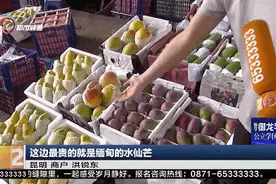 未见其果已闻其香！云南这种水果大量上市，青绿、金黄、红紫……图片