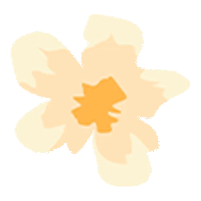 首批红嘴鸥抵达翠湖公园，游客雨中观鸥兴致不减