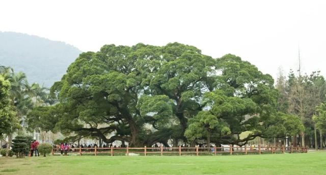 9天长假去哪玩！福州上榜春节热门旅游目的地