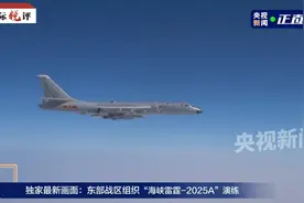 国际锐评丨“台独”闹得越凶  笼子扎得越紧图片