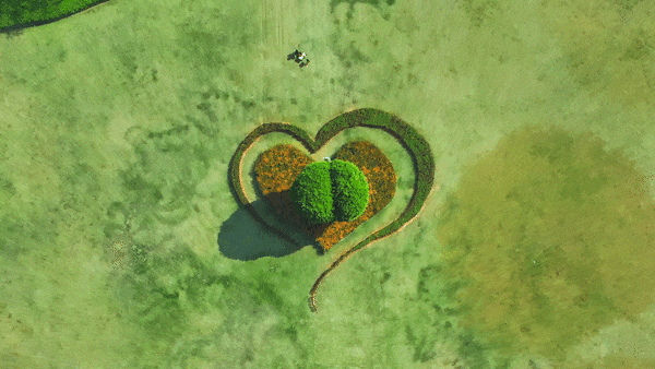 上新！珠海“顶流爱心树”浪漫升级，出片率100%！