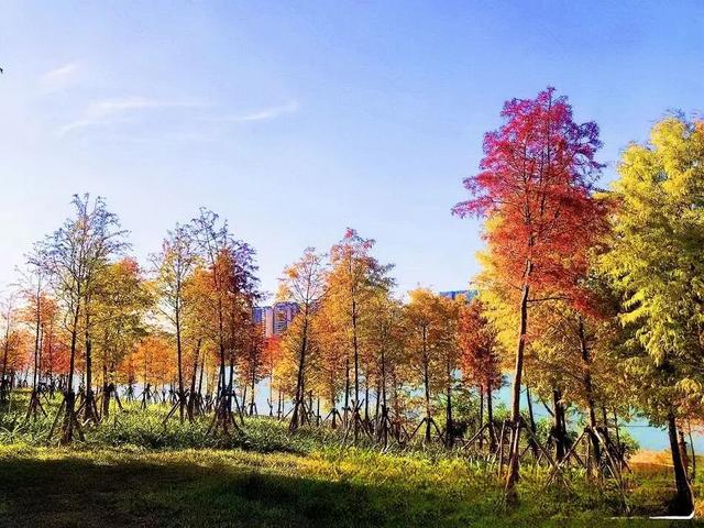 双节同庆 乐游南宁 | 2025中秋国庆嗨玩绿城线路来啦！这个假期就约在南宁吧