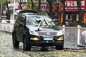 湖南出现狂风暴雨 当地居民：不少树木、雨棚、防盗网被吹倒图片
