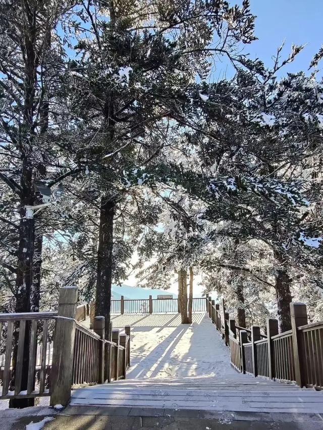 周末冲！大邑又下雪了！