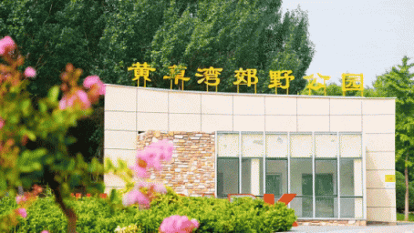 大屯地标“毛绒化”，总有一款萌到你