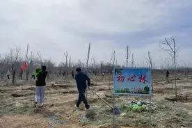 乌鲁木齐市沙依巴克区仓房沟街道打造“初心林”让“山更绿”图片