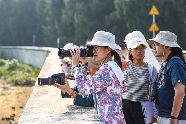暖冬“追鸟”去！在海口美兰，邂逅灵动之美~