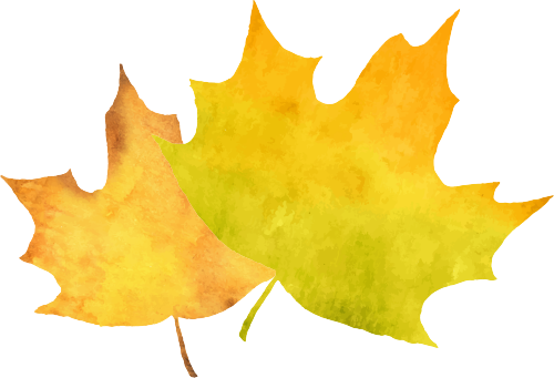 看，延吉秋景深藏诗意！