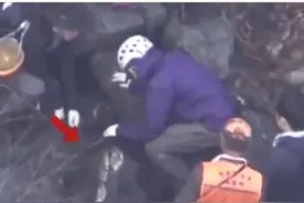 日本一棕熊尸体内发现人体残骸，为此前登山死亡的22岁大学生图片