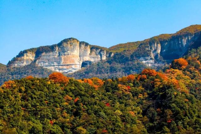 2025重庆红叶彩叶最佳观赏期预报出炉，快去打卡！