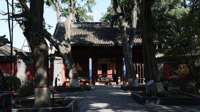 站前广场新盖一座小亭子，秋日出游更丝滑～