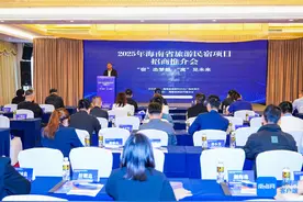 海南省旅游民宿项目招商推介会举办 共话民宿产业发展新路径图片