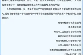 公积金最高贷150万元、最低首付15%！青岛出台楼市“十条”图片