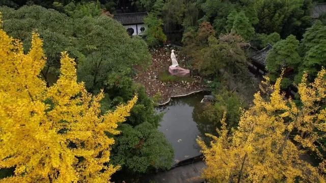 出发！来四川淘“金”