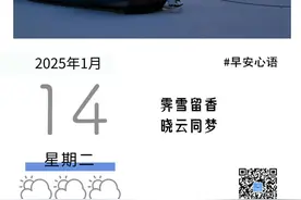 龙华花市来了！部分路段临时封闭，还有公交调整【龙华818】图片