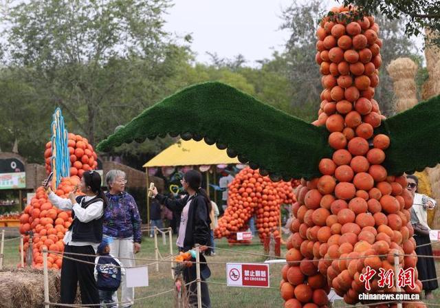 宁夏鸣翠湖巧打“南瓜牌”假期营造湿地新体验