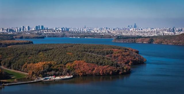 走一走 “森”呼吸