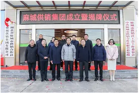 湖北麻城供销集团有限公司揭牌成立图片