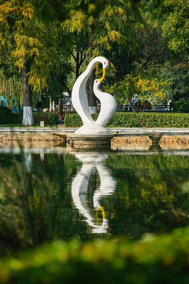 东湖秋日图鉴②｜邂逅听涛，定格秋的独家记忆