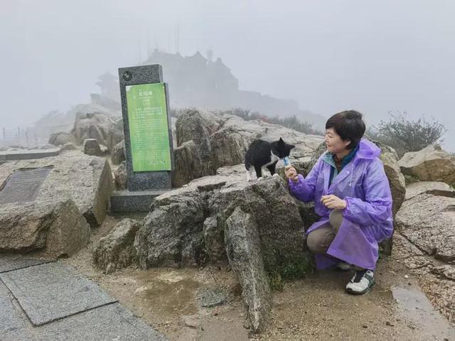 四十七年后著名主持人敬一丹再登泰山 “人生需要仪式感”