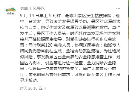 紫牛热点|四川一景区枯枝掉落砸伤女游客！景区回应：全程协助就医，启动安全隐患排查