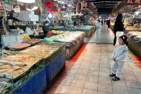 青岛鲅鱼大量上市，五一节前价格亲民引市民抢购图片