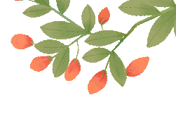 重阳暖孝亲，文脉润金陵——携父母同游南京夫子庙