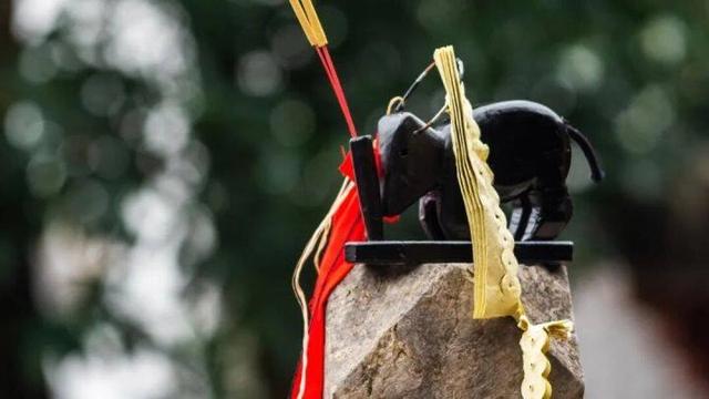 桃源深处、武陵主峰,梵净山何以跻身世界遗产?