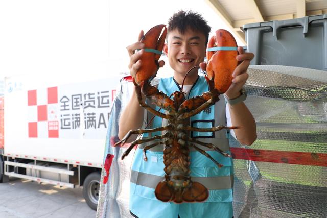 投运3年密织航线网，花湖机场货邮吞吐超200万吨