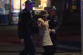 23岁华裔女子杨兰兰已获保释，巨额财富来源成谜图片