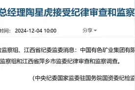 中国有色集团原副总经理陶星虎被查图片