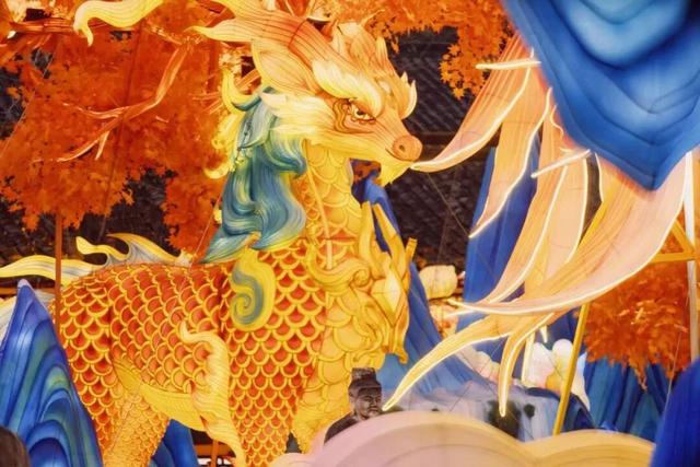 门东新“顶流”！一棵美到让全南京排队围观的树！